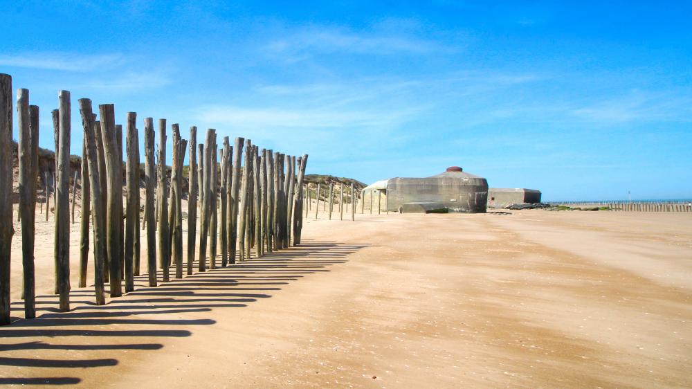 Oye-Plage (Les Escardines): illustration