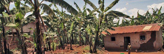 Rwanda