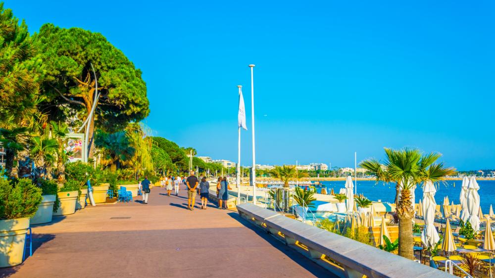 Cannes: illustration
