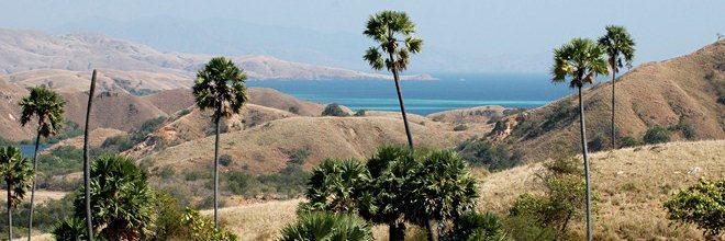 Comores