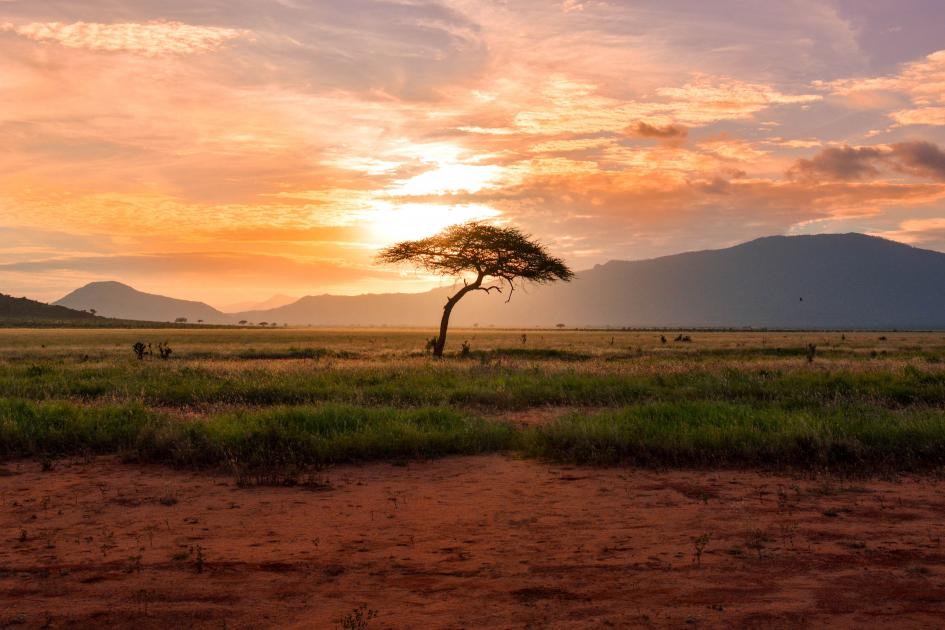 Afrique