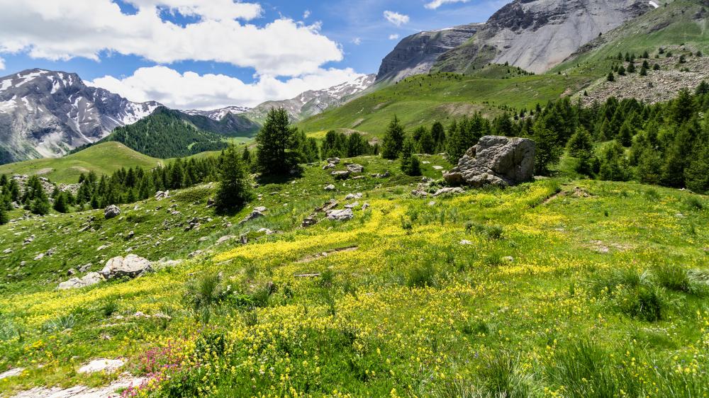 Hautes Alpes: illustration