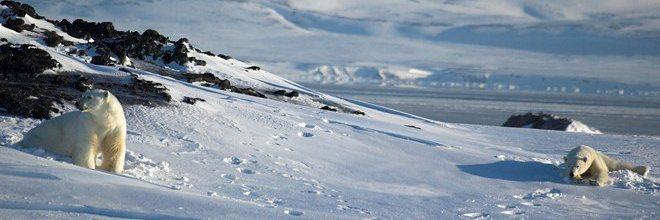Iles Svalbard et Jan Mayen