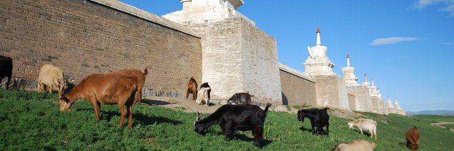 Mongolie