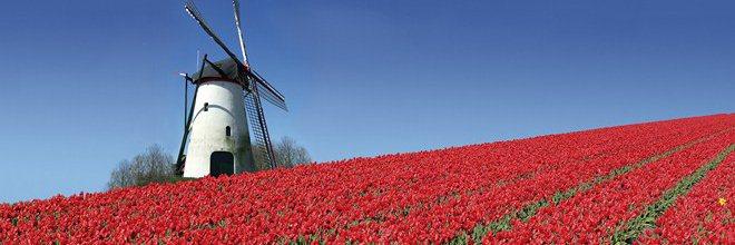 Pays-Bas