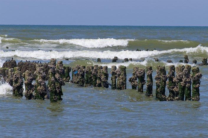 Les parcs à moules sur la plage de Wissant