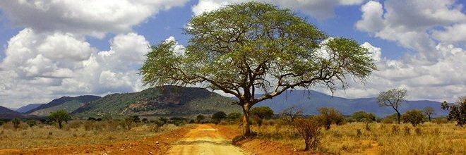 Kenya