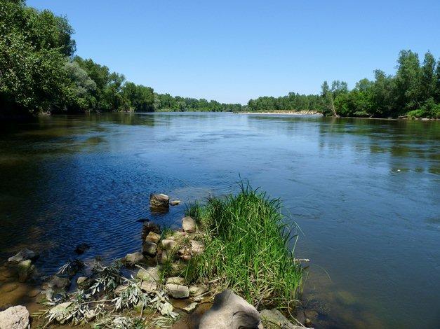 Paysage de l'Allier
