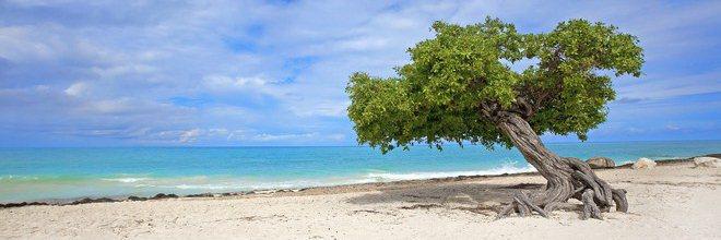 Aruba