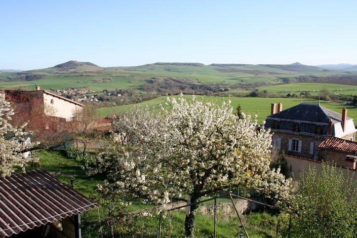 Printemps dans l'Allier