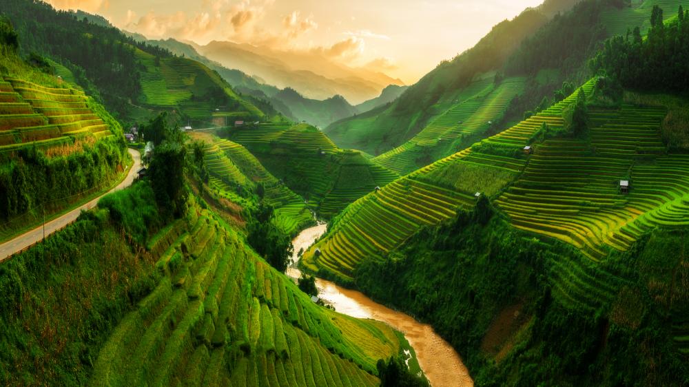 Vietnam: illustration
