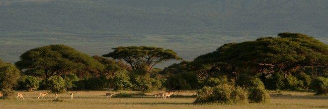 Tanzanie