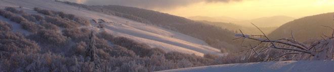 Vosges: illustration