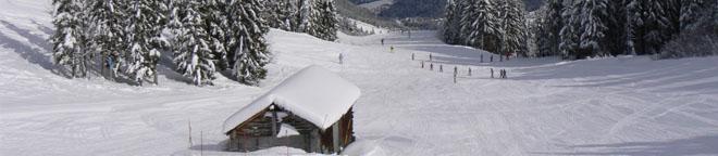 Alpe du Grand Serre: illustration
