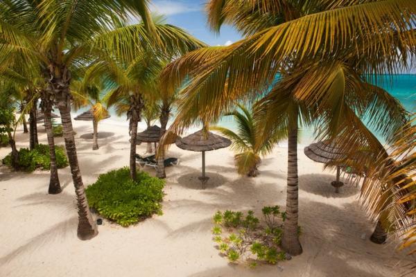 Plage d'Antigua
