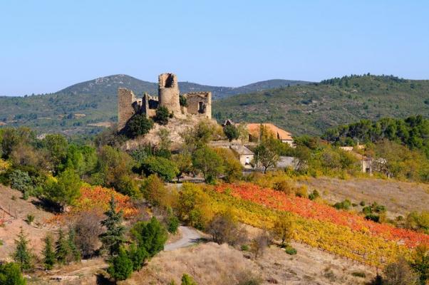 chateau cathare de Durban en corbières