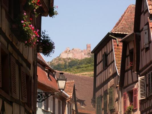 Château vue de Ribeauville