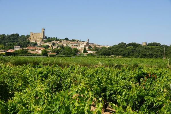 Châteauneuf du pape et ses vignes