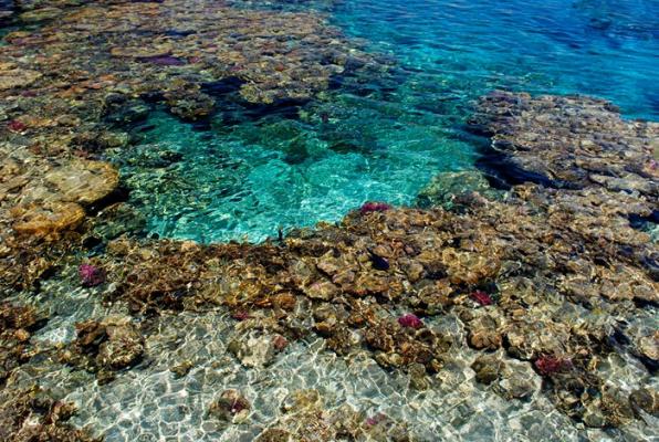 Plongée sous marine aux alentours des Bahamas