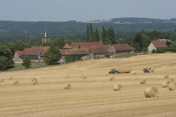 L'Oise et son activité agricole