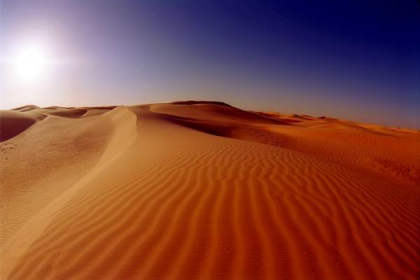 Le désert et ses dunes