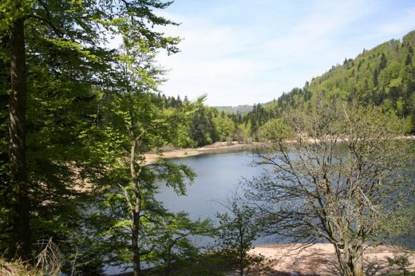 Etang du territoire de Belfort
