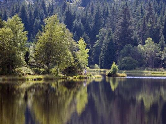 Lac de Lispach dans la commune de La Bresse