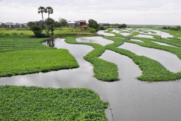 Lac à Phnom Penh, Cambodge