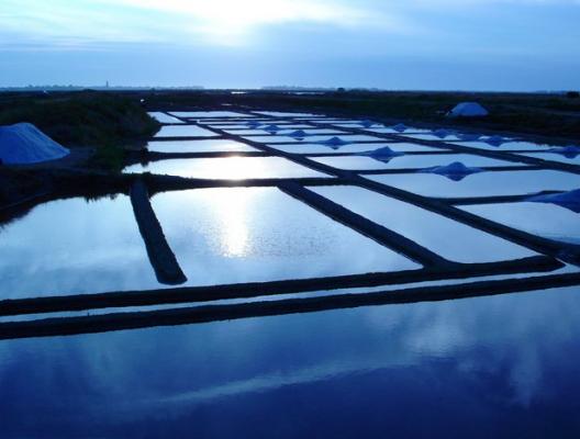 Marais salants de Guérande