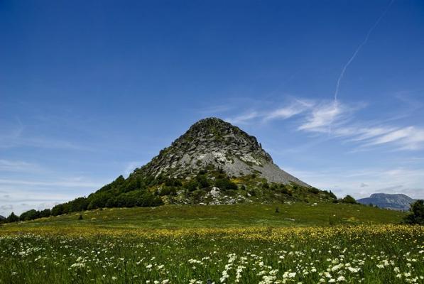 Mont Gerbier de Jonc