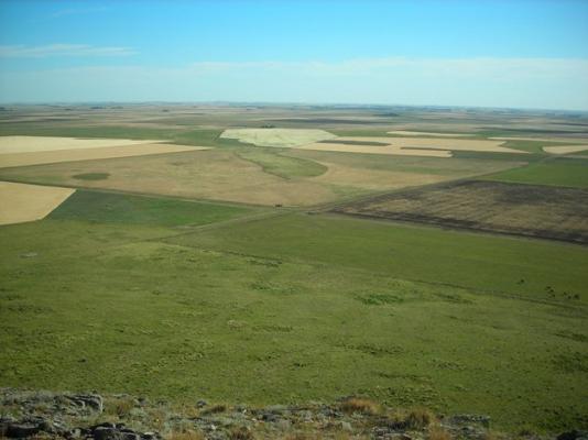 Pampa argentine
