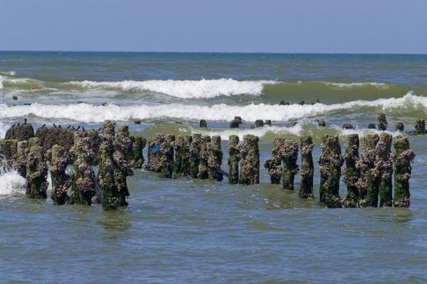 Les parcs à moules sur la plage de Wissant