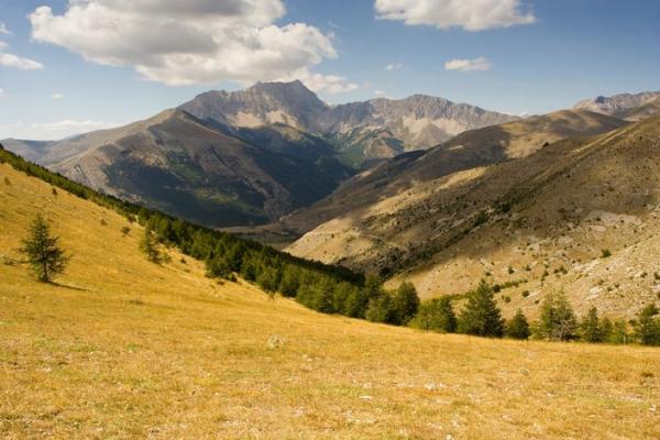 Paysage des Hautes-Alpes
