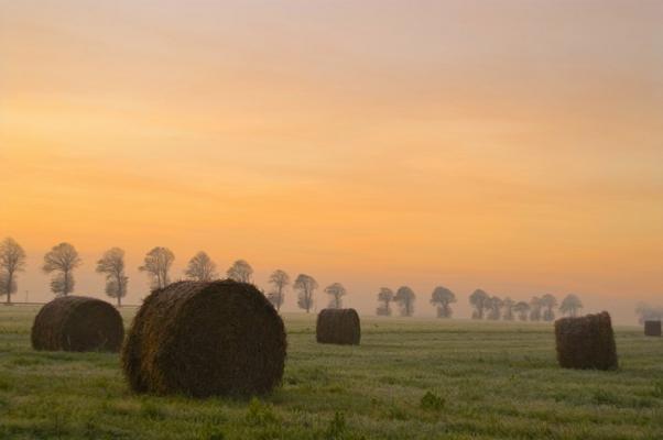 Paysage de la Somme
