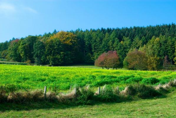 Paysage d'Ardennes