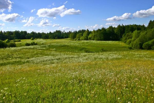 Plaine de Lettonie