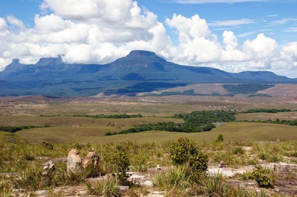 Plaine étendue du Venezuela