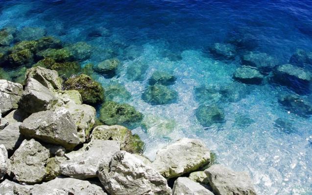 Plongée sous marine dans la mer des Caraibes