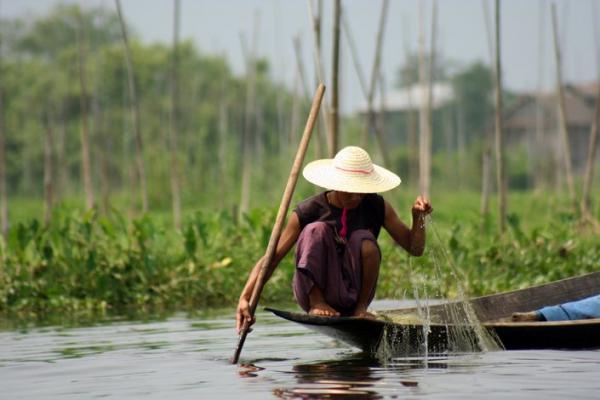 Pêche dans les marais brimans