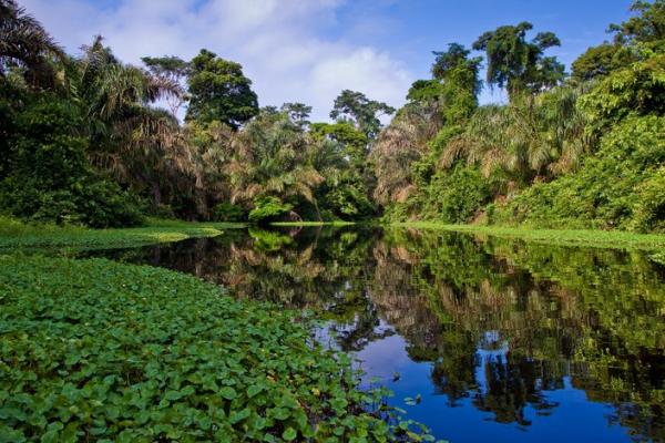 Rivière au Costa Rica