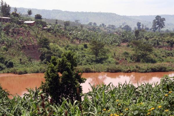 Paysage du Rwanda