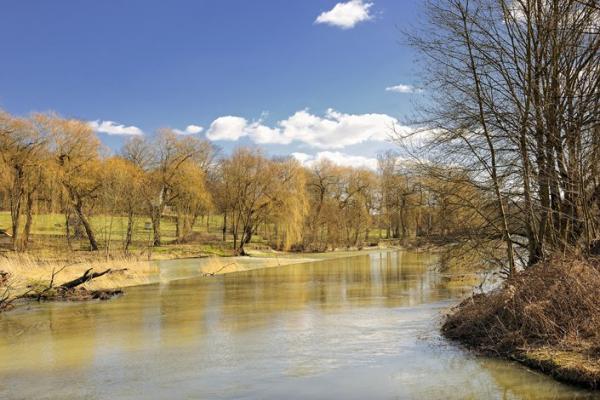 La Sarre, rivière de Sarreguemines