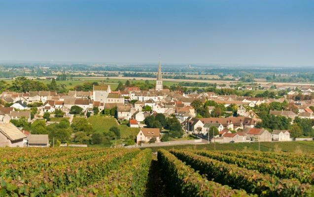 Un village vigneron