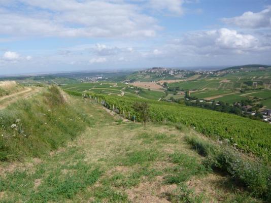 La ville de Sancerre vue de la campagne