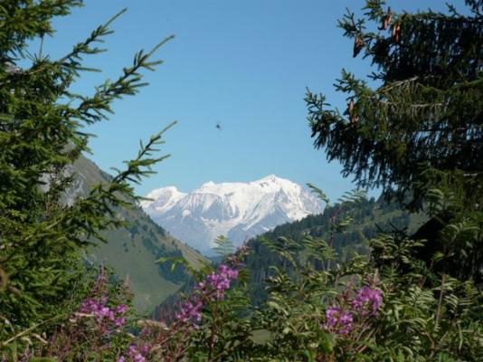Vue sur le Mont Blanc