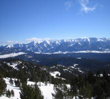Foret du domaine skiable de Font Romeu