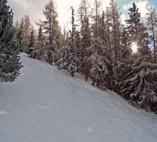 Foret enneigée près de La Norma