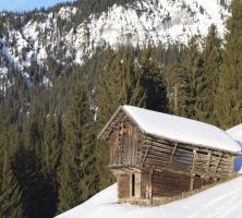 Un chalet en foret près des Angles