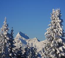 Arbres enneigés près de Megeve