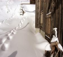 Un chalet près de Morzine